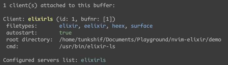Elixir-LS running information